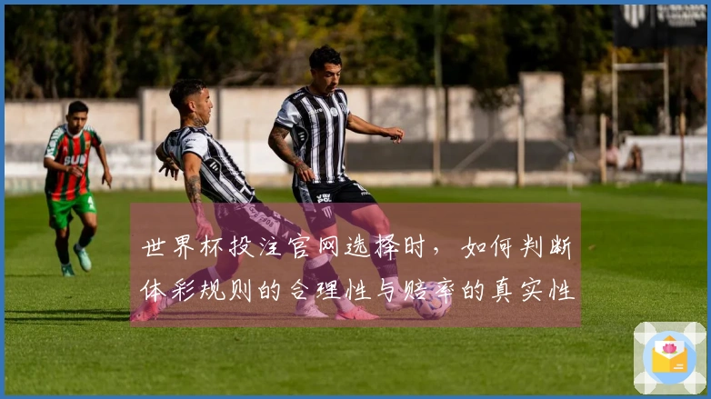 世界杯投注官网选择时，如何判断体彩规则的合理性与赔率的真实性？