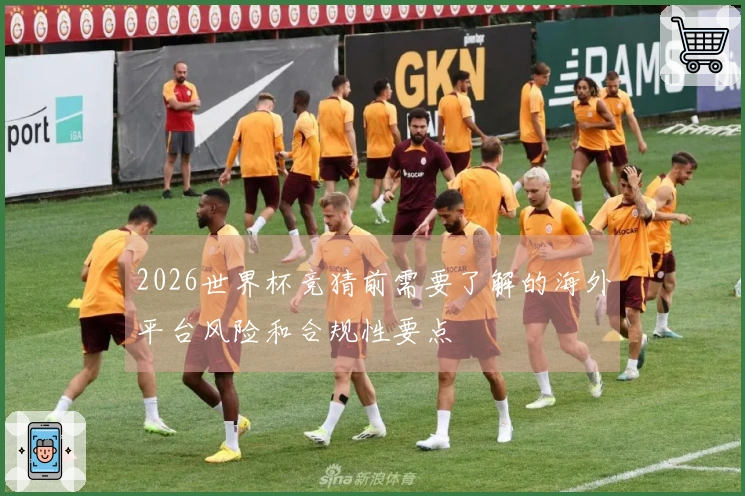 2026世界杯竞猜前需要了解的海外平台风险和合规性要点