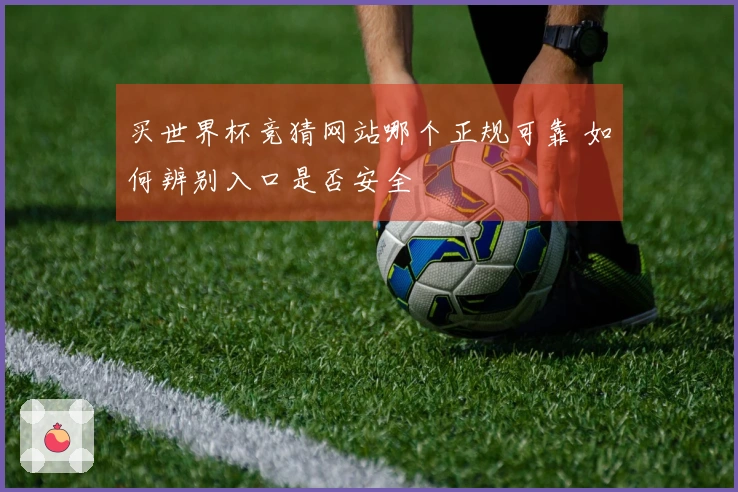 买世界杯竞猜网站哪个正规可靠 如何辨别入口是否安全