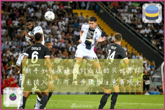 新手如何快速找到合适的买世界杯竞猜入口？下注步骤与注意事项全解析