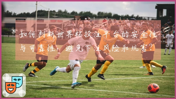 如何判断世界杯投注平台的安全性与可靠性，避免下注风险和坑害？